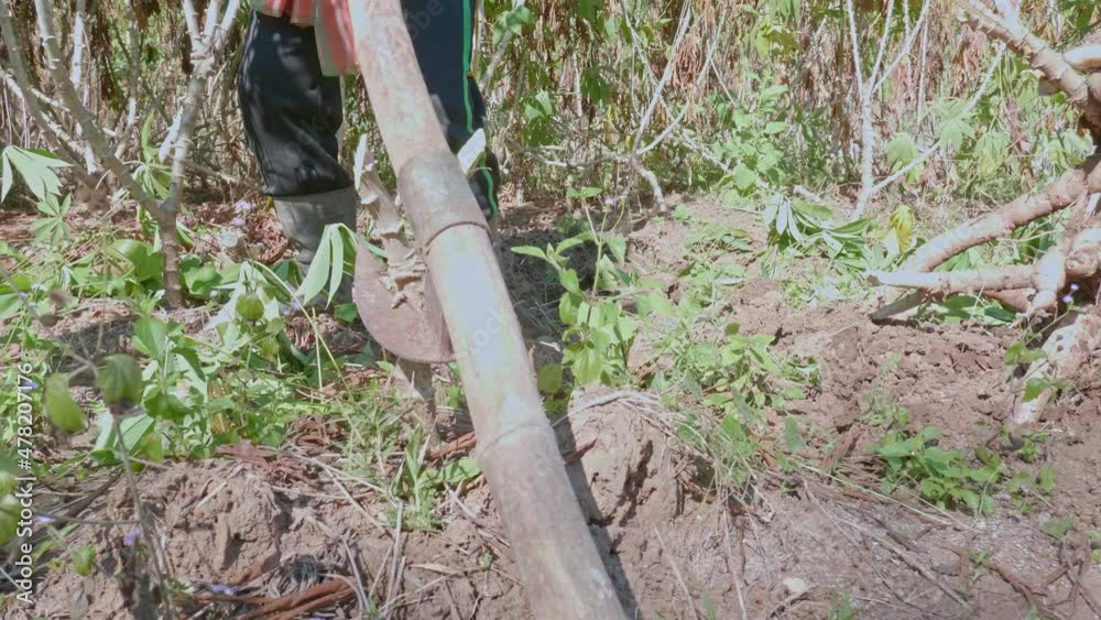 Escaped Using Backhoe Thai farmers use manual tools called mobile backhoes for digging and ...