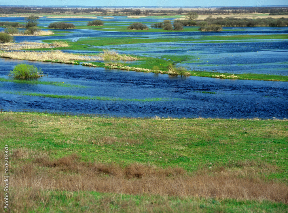 Biebrza river, Biebrza National Park, Poland