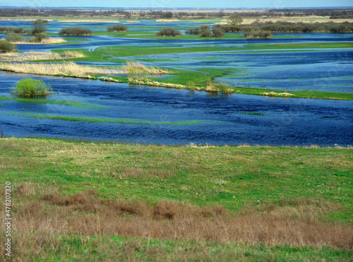 Wallpaper Mural Biebrza river, Biebrza National Park, Poland Torontodigital.ca