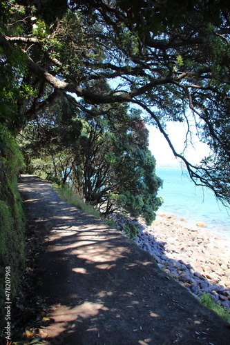 Fototapeta Naklejka Na Ścianę i Meble -  Trails and walkways around Tauranga New Zealand 