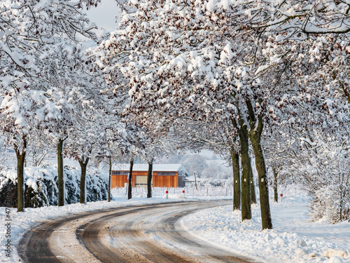 Winter's Tale. Snow-covered clean light landscape of Alsace. photo