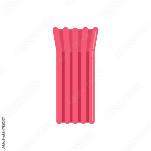 Holiday inflatable mattress icon flat isolated vector