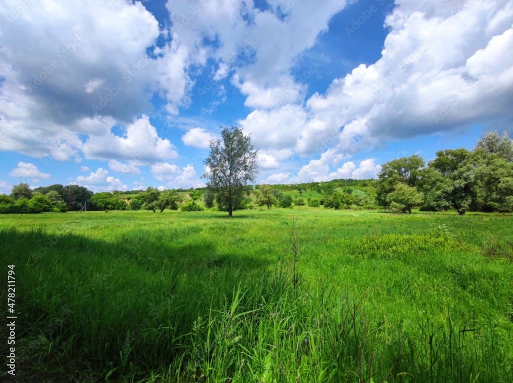 In the photo, the nature of Ukraine