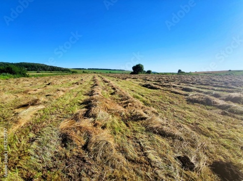 In the photo, the nature of Ukraine and hay harvesting