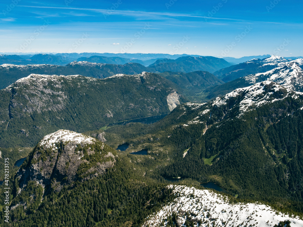 Stock Aerial Photo of Logging on Vancouver Island BC, Canada