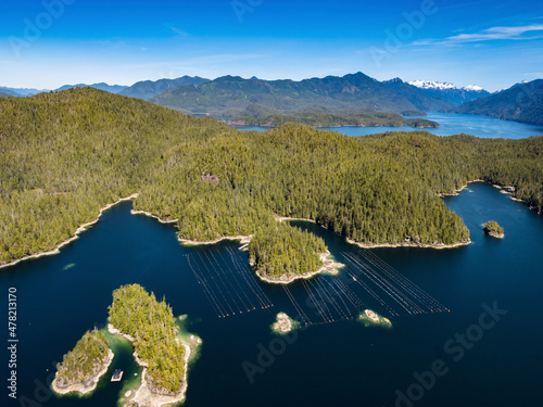 Stock Aerial Photo of Meares Island Clayoquot Tofino Vancouver Island BC, Canada photo