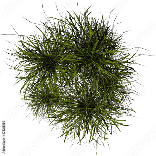 VEGETATION TOP VIEW - TREES PLANTS AND BUSHES IN PLAN