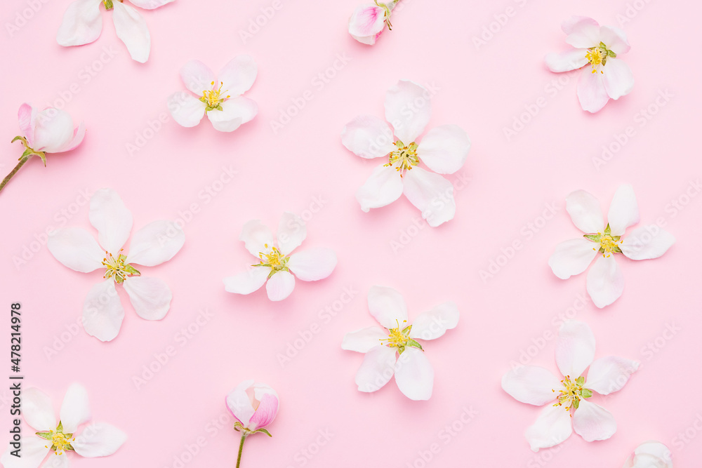 Apple tree blossom on a light pink background. Spring concept, flat lay