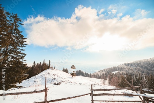 Sheepfold in the mountain. Poiana Zanoaga in valley, Piatra Craiului natural reserve from Romania. Piatra Mica or Cabana Curmatura in Piatra Craiului National Park photo