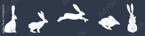 
White rabbits on a dark background. Rabbit in a single pose, sitting, jumping. waving her paw. Flat vector illustration