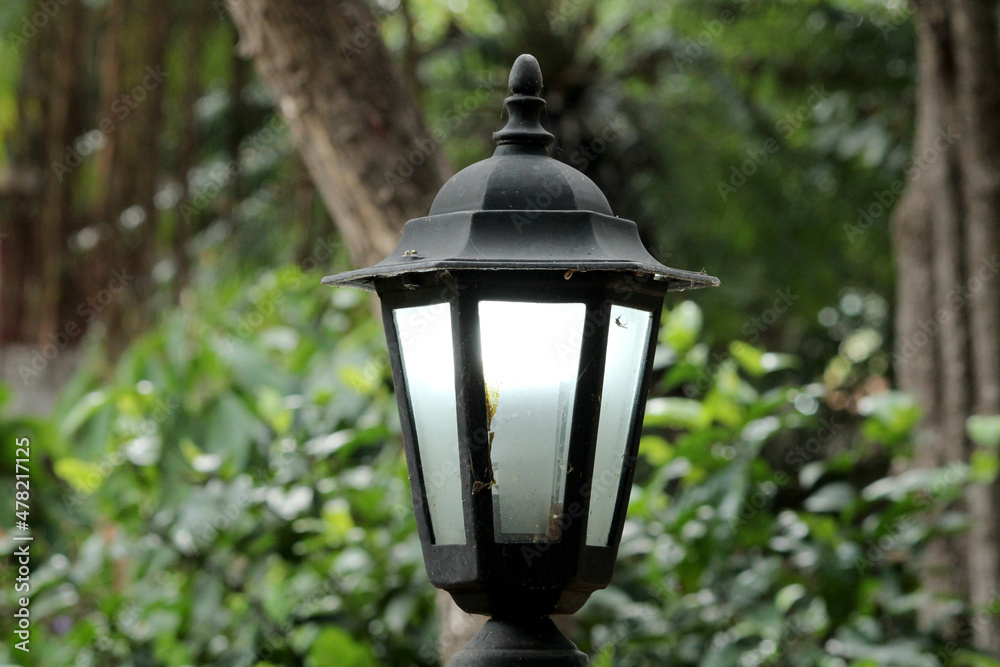 Street lamp in the Rock Garden.