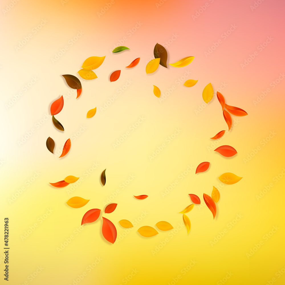 Falling autumn leaves. Red, yellow, green, brown c Falling autumn leaves. Red, yellow, green, brown c