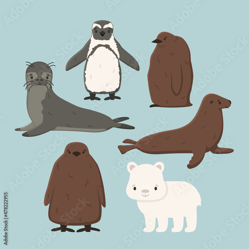 Set of vector Penguin, king penguin chick, fur seal, polar bear cub, small common seal. Isolated small cartoon cute sea and ocean animals for kids book, stickers or prints for clothes