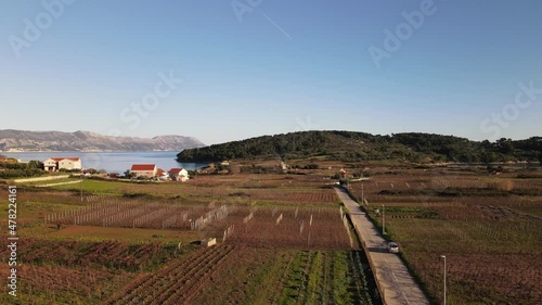 Lumbarda village standing over seaside of Croatia, vineyards on countryside of Korcula island photo