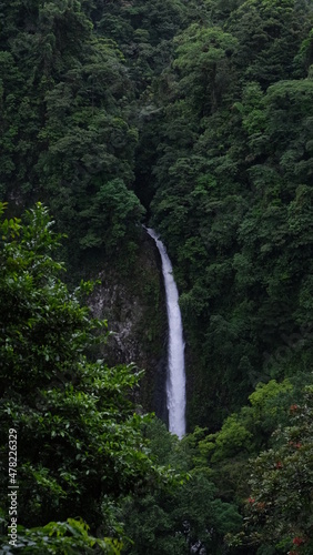 waterfall in jungle