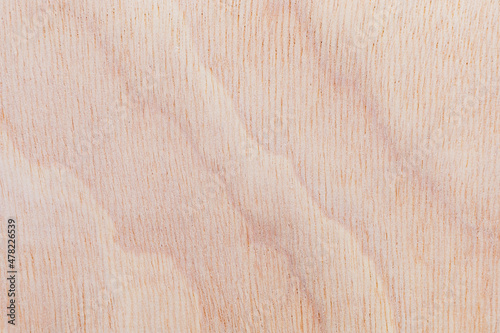 Light rough textured cut surface of an African tree. Wood background or blank for design photo