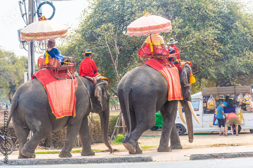 Photography AYUTTHAYA, THAILAND, 12 JANUARY 2020: Elephants transporting tourists in Ayuttha
