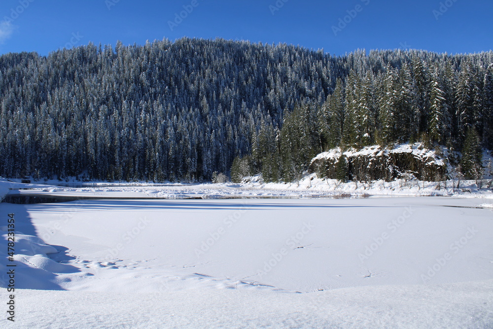 Fototapeta premium Winter Scene