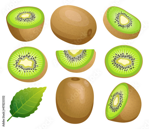 Set of kiwi fruit whole, half and cut slice illustration isolated on white background
