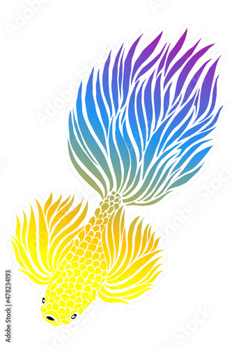 Beautiful gradient colourful betta fish design  illustration for wallpaper background ads clothing logo or presentation template