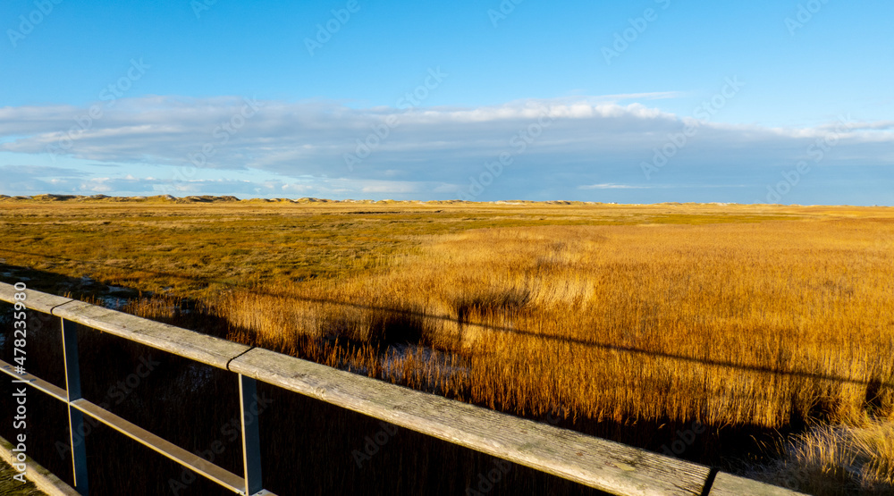 Amazing landscape at the Wadden Sea in St Peter Ording Germany - travel photography