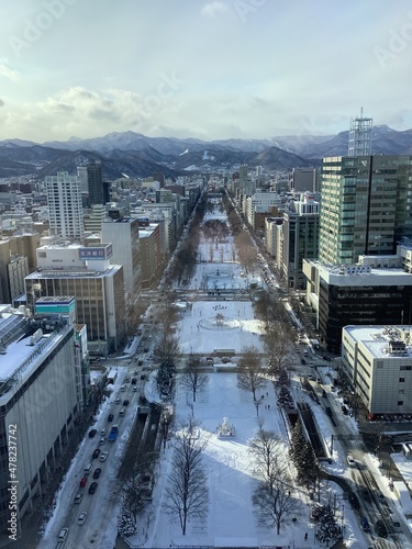 Snow scene of Sapporo Odori Park in winter