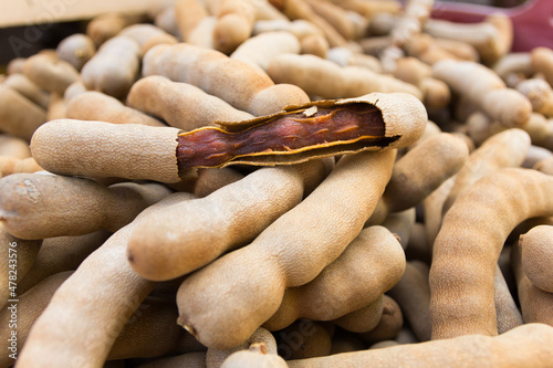 фотографія Group of ripe sweet tamarind pods