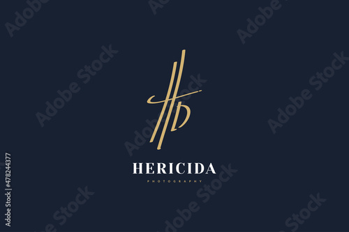 H and D Initial Logo Design with Handwriting Style. HD Signature Logo or Symbol for Business Identity