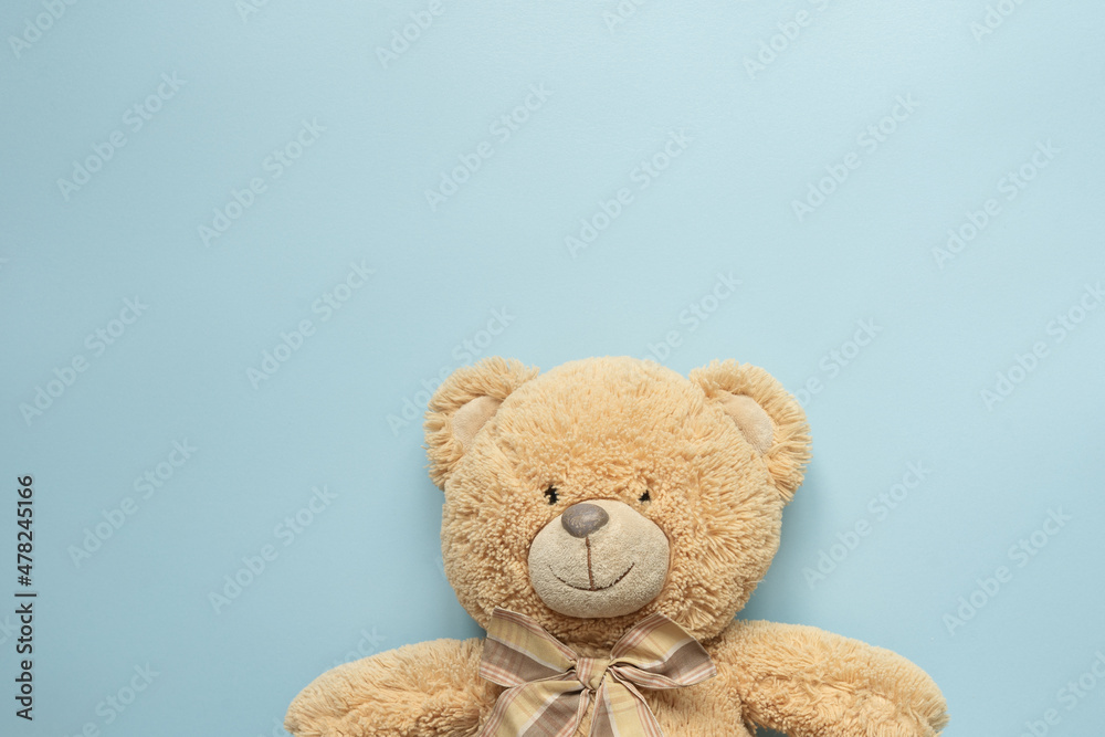 Obraz premium teddy bear