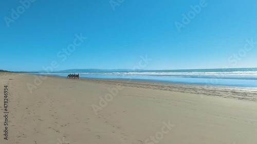60 FPS Slow Motion View Of Harness Racing During Training On The Beach, Horse Racing, Horse Trotter, Woodend Beach New Zealand - Panning Shot photo