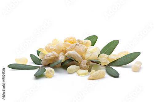 Chios mastic tears with lentisk (Pistacia lentiscus) leaves on a white background photo