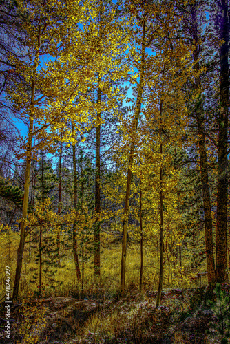 Aspen Season © Specular Edge Photo