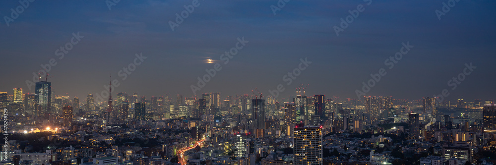 Ultra wide panorama image of Tokyo night view with Tokyo tower and office buildings.