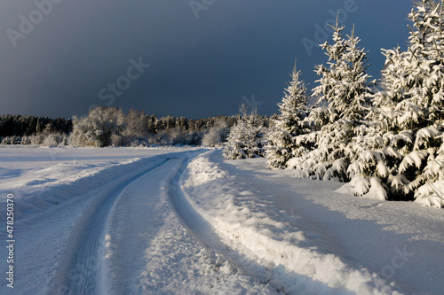 Snowy countryside road with snow covered spruces alonge. sunlight with cloudy skies