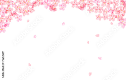 桜の背景イラスト