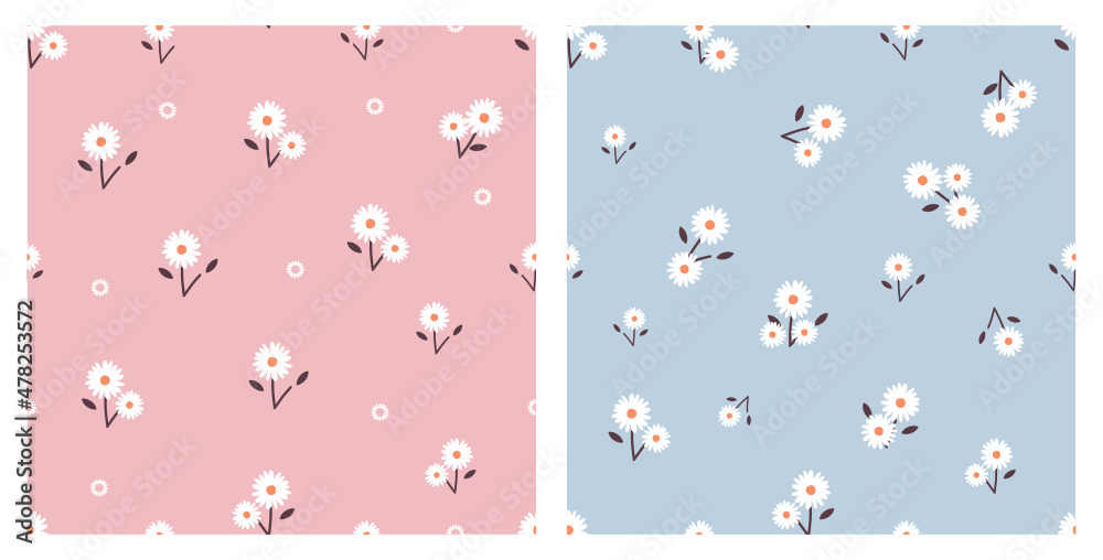 Set of small daisy flower seamless patterns on pink and blue backgrounds vector illustration. Set of small daisy flower seamless patterns on pink and blue backgrounds vector illustration.