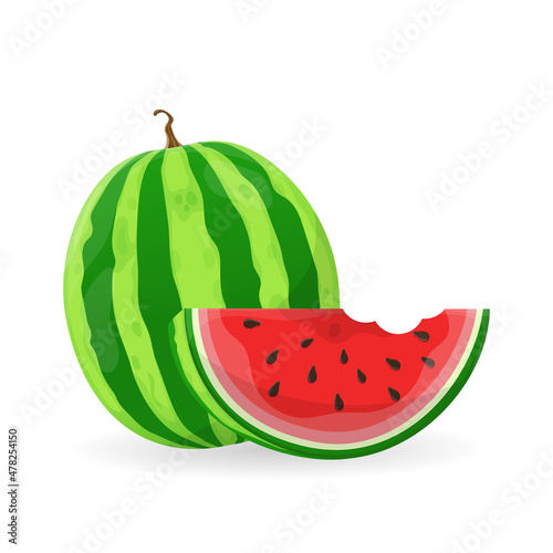 Watermelon and juicy watermelon slice vector illustration in flat design isolated on white background.