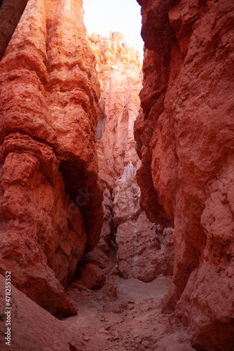 red canyon in the desert