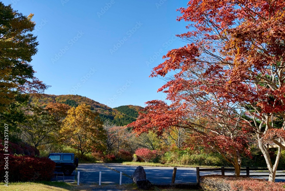 Obraz premium 植樹祭記念緑地公園 駐車場