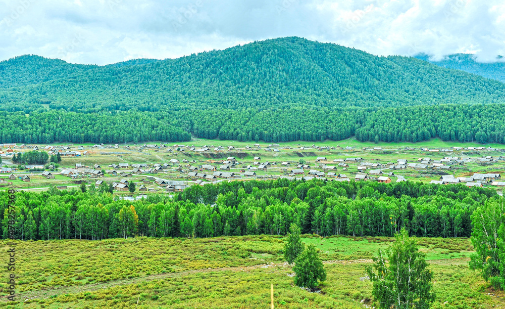Beautiful panoramic view of Hemu village and birch forest mountain beside the village in burjin County, Xinjiang, China