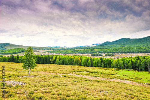 Beautiful panoramic view of Hemu village and birch forest mountain beside the village in burjin County  Xinjiang  China