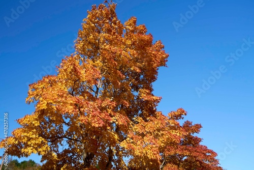 山の駅たかはら