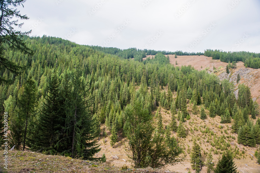 Mountain and forest, grassland scenery in xinjiang, China Mountain and forest, grassland scenery in xinjiang, China