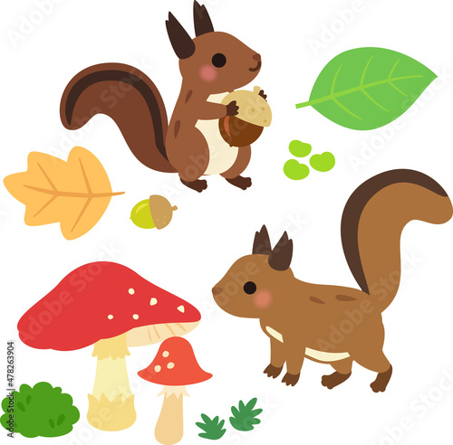 キノコ、リス、落ち葉のイラストセット