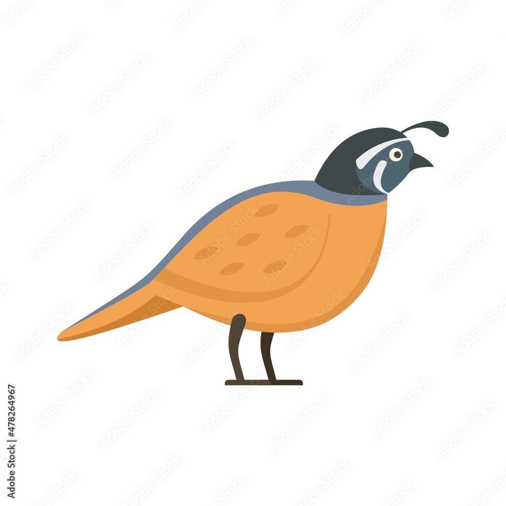 Obraz premium Quail farm icon flat isolated vector