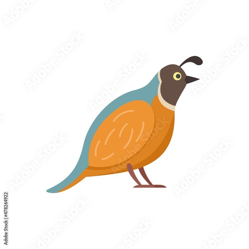 Quail chicken icon flat isolated vector