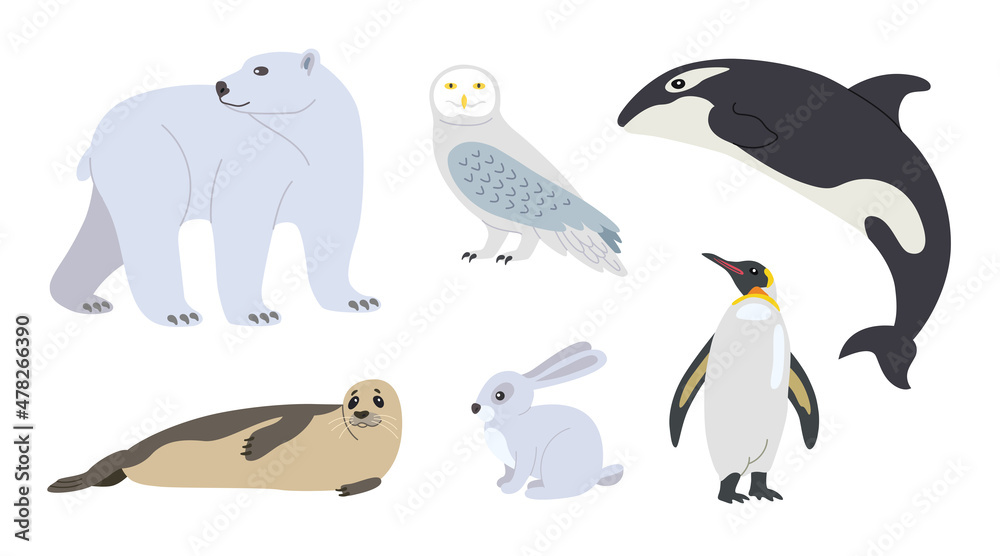 Cute arctic animal cartoon character vector illustrations set. Polar bear, penguin, seal, hare, owl, killer whale, fauna of North Pole isolated on white background. Winter, wildlife, nature concept Cute arctic animal cartoon character vector illustrations set. Polar bear, penguin, seal, hare, owl, killer whale, fauna of North Pole isolated on white background. Winter, wildlife, nature concept