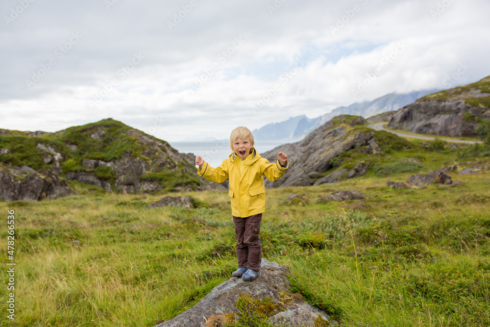 Child, enjoying a picturesque view from the edge of a cliff in Lofoten, Norway. Amazing beautiful norwegian nature