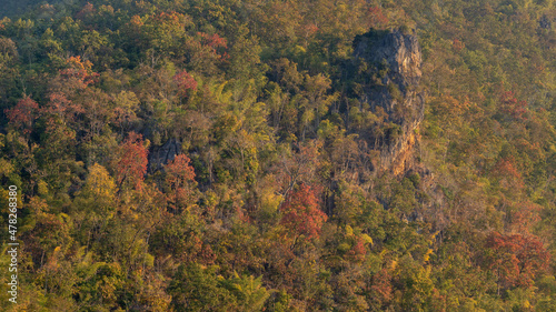 Colorful autumn forest landscape with limestone rock outcrop in scenic mountain valley, Chiang Dao, Chiang Mai, Thailand