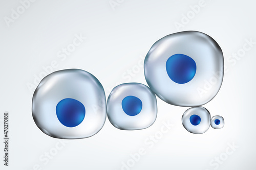 Stem cells under microscope. Biotechnology. Biology.